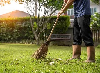 Yard Cleaning
